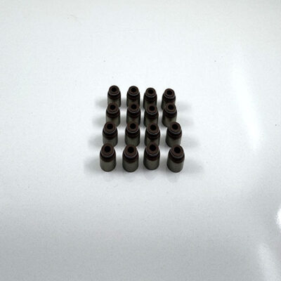 لاستیک گیت سوپاپ اریو