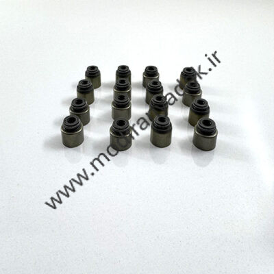 لاستیک گیت سوپاپ