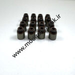 لاستیک گیت سوپاپ اریو 1500