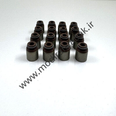 لاستیک گیت سوپاپ اریو 1500