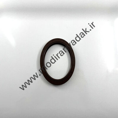 کاسه نمد ته چانگان