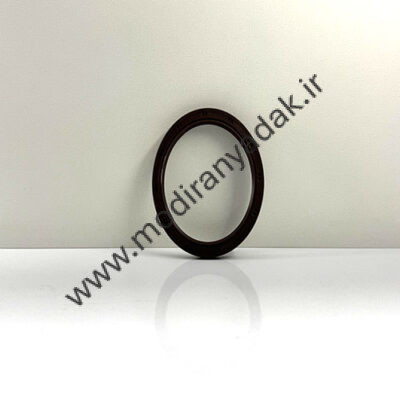 ته میلنگ ایکس 22