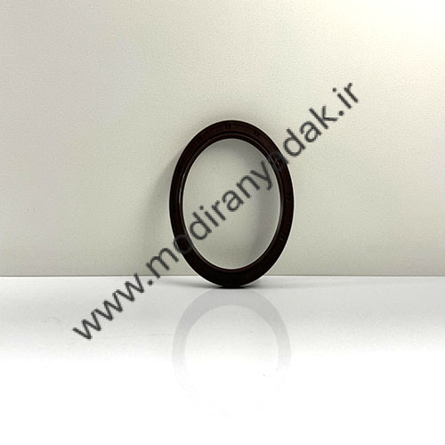 کاسه نمد ته میلنگ ایکس 22 ته میلنگ ایکس 22