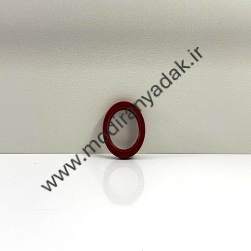 کاسه نمد سر میلنگ ایکس 22 سر میلنگ X22