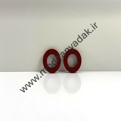 کاسه نمد ایکس 22