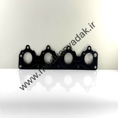 واشر دود تیگو