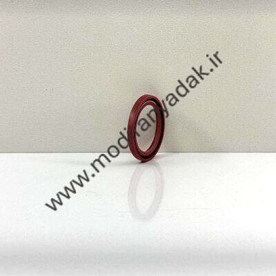 سرمیلنگ تیگو