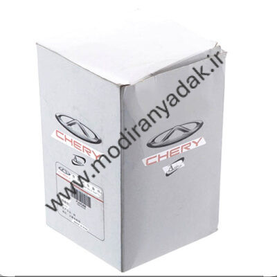 فیلتر بنزین چزی