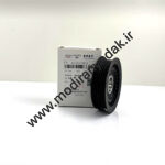 هرزگرد دینام